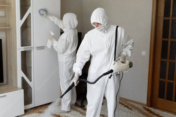 24/7 Emergency Odor Removal experts in Anderson, IN